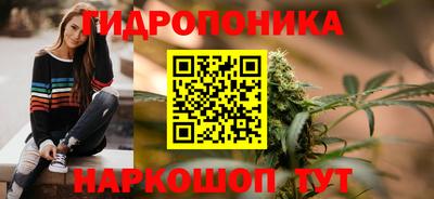 прущие грибы Пенза