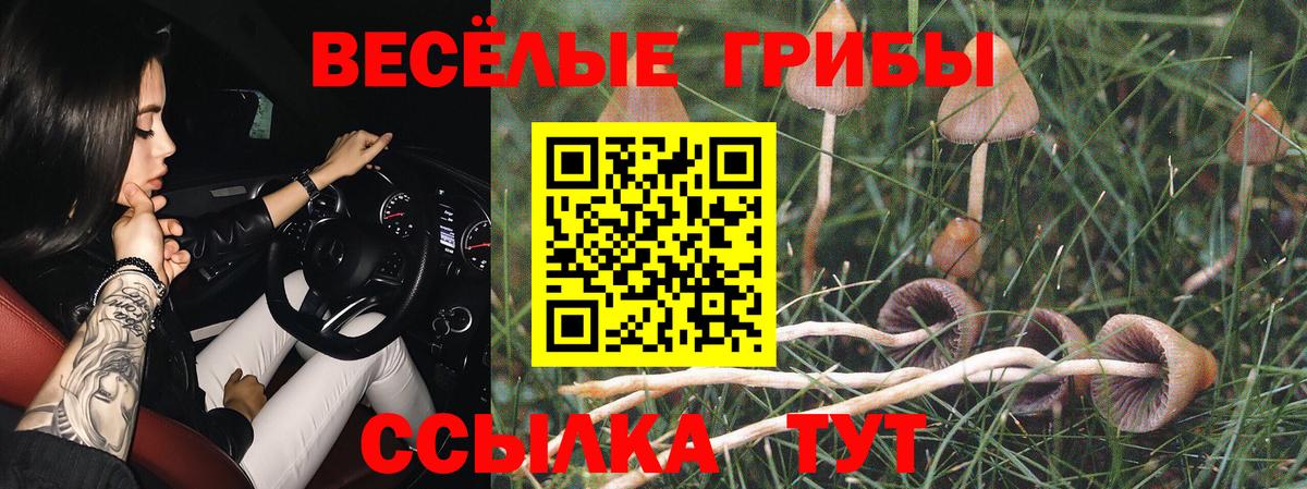 Галлюциногенные грибы ЛСД Тосно